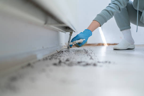 Best Pest Control for Homes  in Columbus, MT